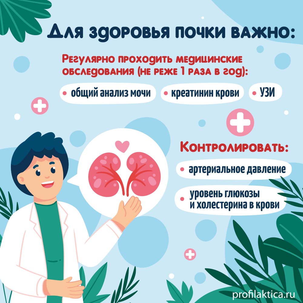 Всемирный день почки